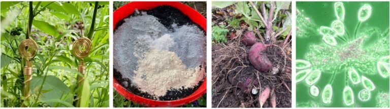 Praxis-Seminar: Elektrokultur, Kompost & lebendige Erde erleben